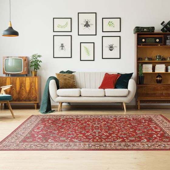 Byblos burgundy koberec 240x340 cm