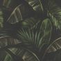 Exotic tapeta