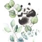 Panda Dizajnová tapeta