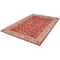 Byblos burgundy koberec 240x340 cm