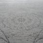 Harmony grey koberec 160x230 cm