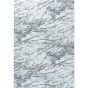 Platinum light grey koberec 160x230 cm