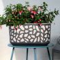 Duett 400 plastový balkónový kvetináč 19,4x39,4x20,3 cm antracitová krémová