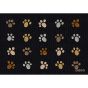 Ankara paws rohožka 55x80 cm