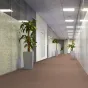 Bari 850-greige metrážny koberec